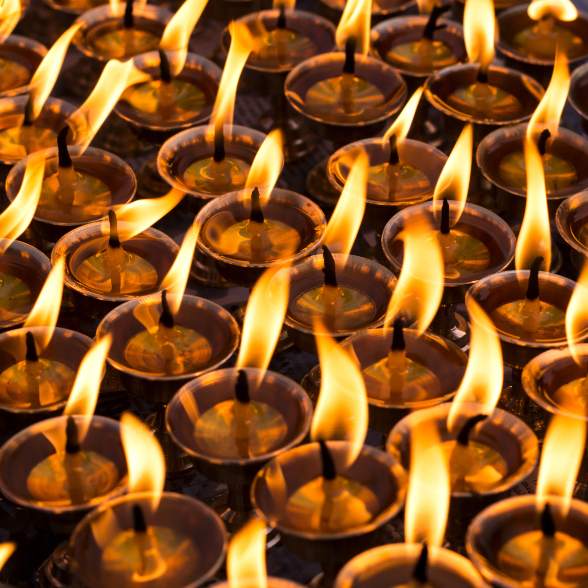Support Marpa House in your will