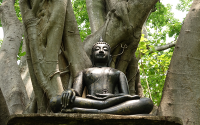 Join us for Saga Dawa on 31st May