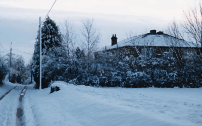 Winter 2025 Newsletter